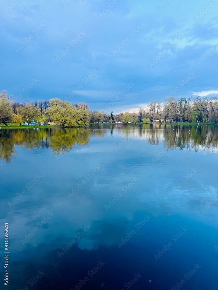 Obraz premium Pond in the park, evening time, trees reflection on the water surface