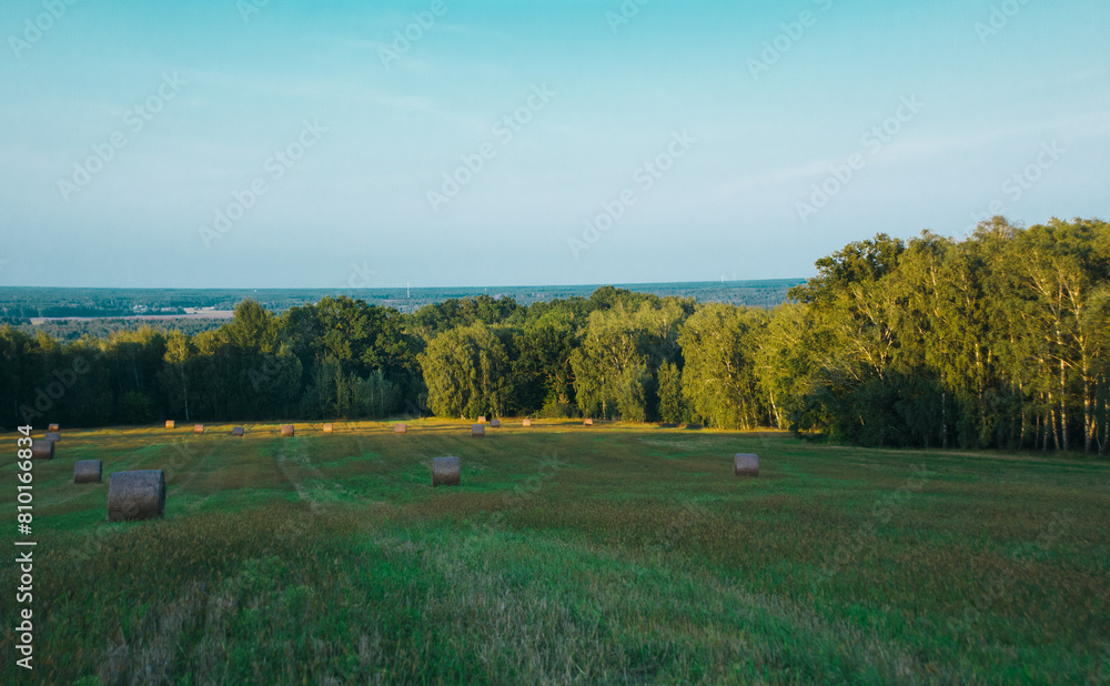 Fototapeta premium landscape with lake and forest