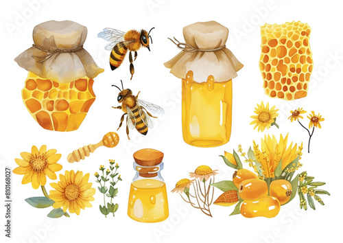 Set of yellow honey bee and honeycomb fields herbs flowers vector illustration