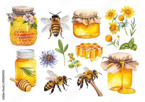 Set of yellow honey bee and honeycomb fields herbs flowers vector illustration