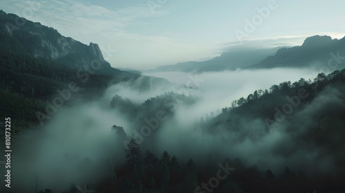 A valley where the fog moves like living creatures, shaping stories as it flows. © Imagination Ink