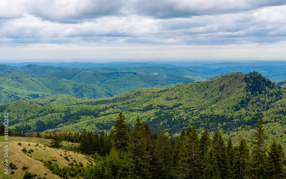 Rolling hills, mountains and valleys surrounded by lush woodland Rolling hills, mountains and valleys surrounded by lush woodland