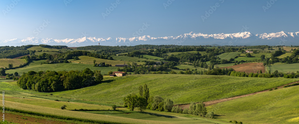 Fototapeta premium Countryside landscape in the Gers department in southwestern France with the Pyrenees mountains in the background