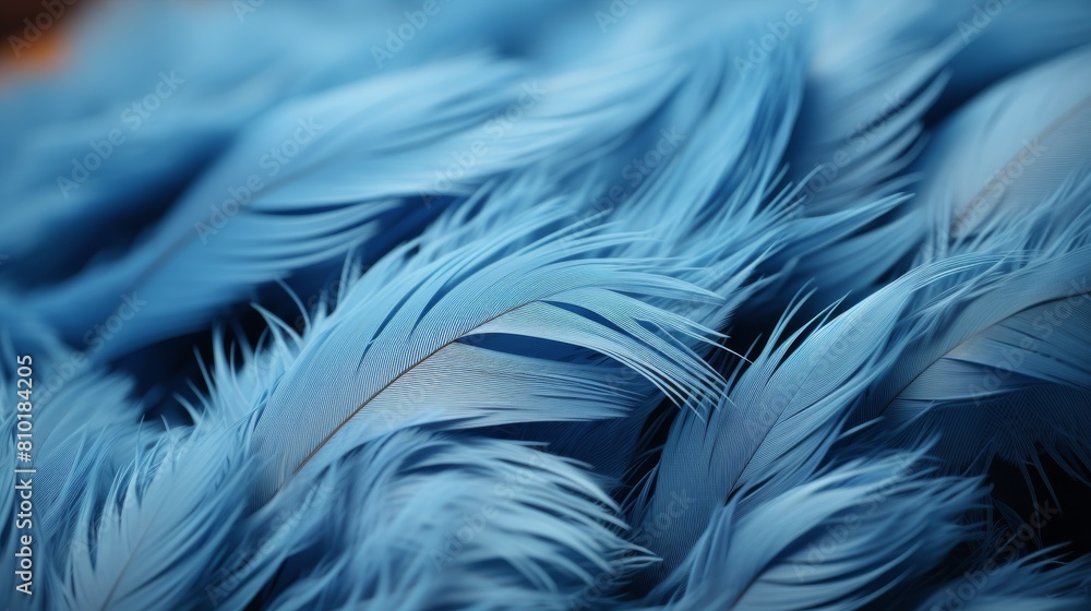Blue Feathers Cluster Blue Feathers Cluster
