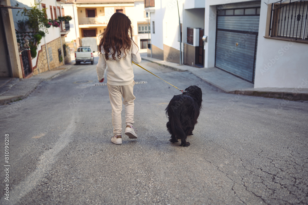 Rear view of a pretty girl walking her dog on leash on the street on sunny day. Black cocker spaniel pet being walked outdoors. People and animals concept Rear view of a pretty girl walking her dog on leash on the street on sunny day. Black cocker spaniel pet being walked outdoors. People and animals concept
