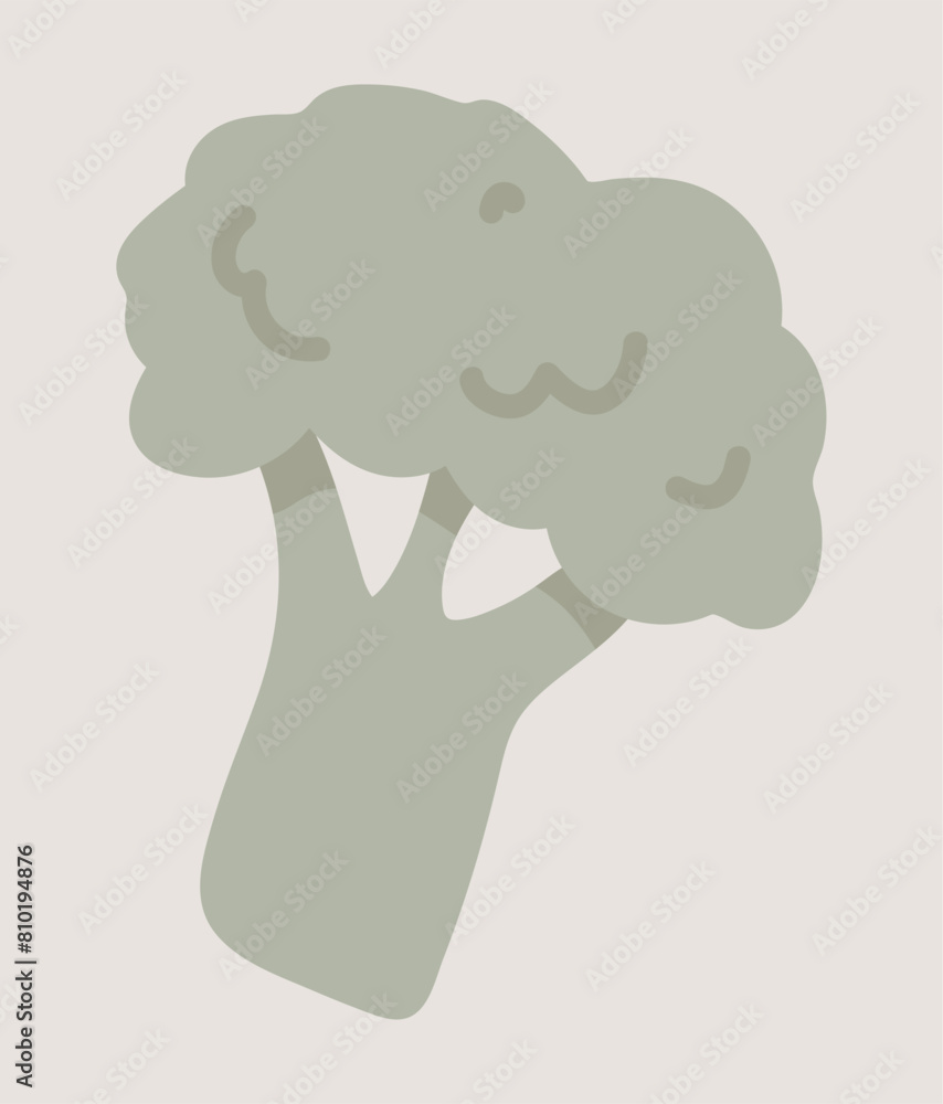 Green broccoli in flat design. Natural vegetable from farming garden. Vector illustration isolated. Green broccoli in flat design. Natural vegetable from farming garden. Vector illustration isolated.