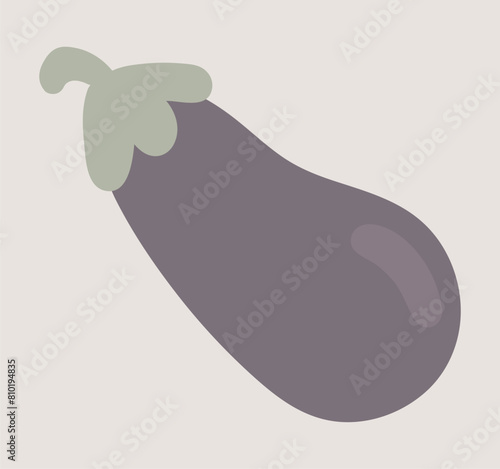 Eggplant in flat design. Natural vegetable from farming garden ranch. Vector illustration isolated.