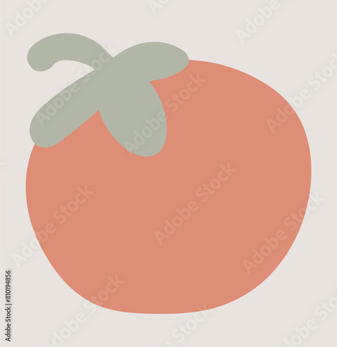 Red tomato in flat design. Natural vegetable from farming garden ranch. Vector illustration isolated.