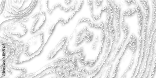 Difference shape of modern paper art design, abstract white wavy background surface of vector light and shadow, advance level of new papercut design used for background.