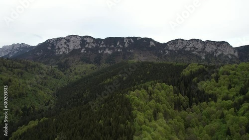 A drone flies over a green nature area in Valea Doftanei Romania photo