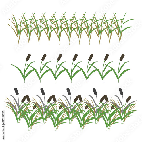 Fototapeta Naklejka Na Ścianę i Meble -  Swamp reeds, simple grass. Set of borders for your design. Vector illustration isolated on white background.