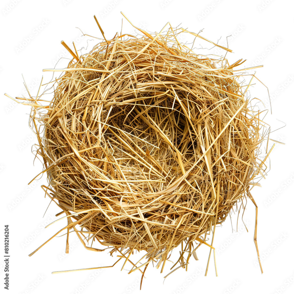 Obraz premium nest isolated on white