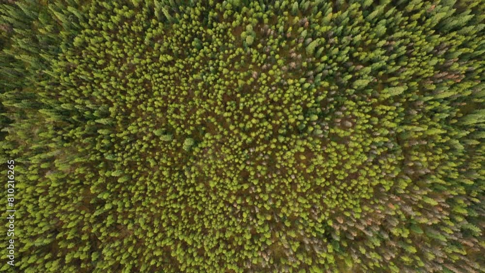 Aerial view of the lakes of Lorraine. Aerial view of the lakes of Lorraine.