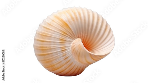 seashell isolated on transparent png background. Generative ai