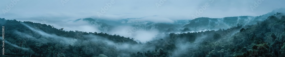 A captivating photograph of a jungle forest shrouded in mist. Ideal for illustrating the beauty and allure of tropical rainforests and exotic landscapes A captivating photograph of a jungle forest shrouded in mist. Ideal for illustrating the beauty and allure of tropical rainforests and exotic landscapes