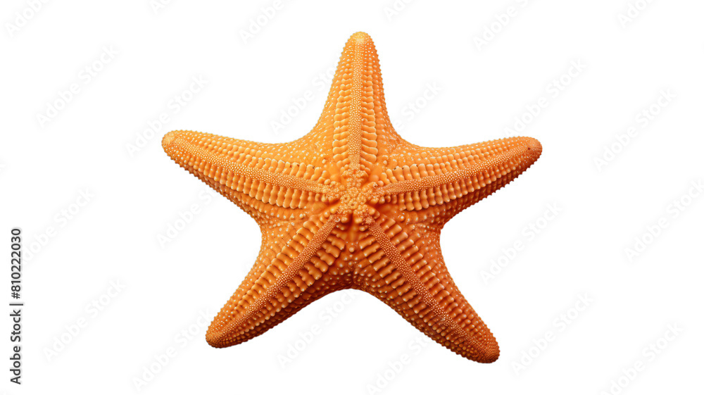 starfish isolated on transparent png background. Generative ai starfish isolated on transparent png background. Generative ai