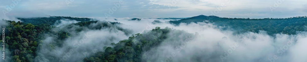 A captivating photograph of a jungle forest shrouded in mist. Ideal for illustrating the beauty and allure of tropical rainforests and exotic landscapes