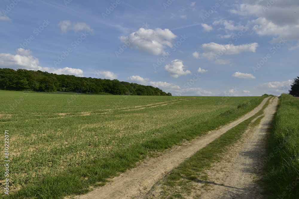 Landschaft bei Wittenburg Nähe Elze