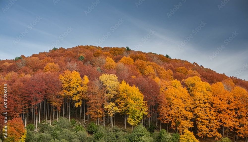 Obraz premium autumn in the mountains
