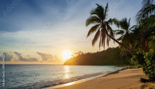 sunset on a tropical beach with palm trees © Jaelynn