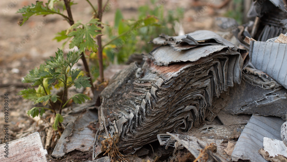 Obraz premium lead acid battery plates. ecological disaster