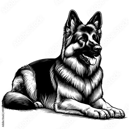 Cute German Shepherd in full-body, hand drawn sketch. Vector isolated on white background	