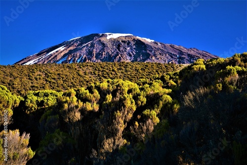 Kibo volcanic cone with Uhuru Peak (5895 m, the top of Mt. Kilimanjaro) on its rim as seen from the vicinity of Millenium Camp, Mweka Route (Kilimanjaro National Park, Tanzania)