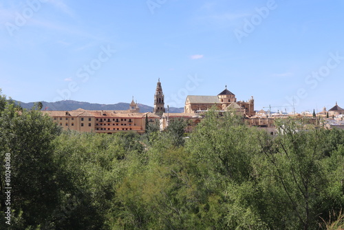  Cordoba. Andalusia. view with mosque