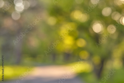 Blurred green leaves, bokeh effect