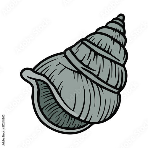 Clamshell Vector, Clamshell Summer Decoration, Seashell Summer Beach Vector Design