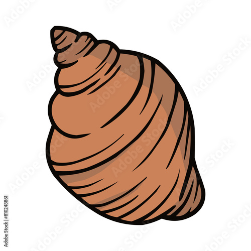 Clamshell Vector, Clamshell Summer Decoration, Seashell Summer Beach Vector Design