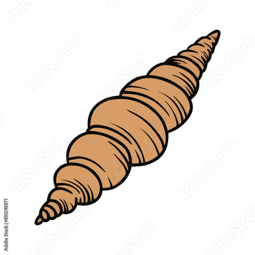 Clamshell Vector, Clamshell Summer Decoration, Seashell Summer Beach Vector Design