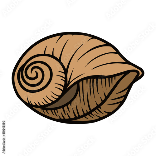 Clamshell Vector, Clamshell Summer Decoration, Seashell Summer Beach Vector Design