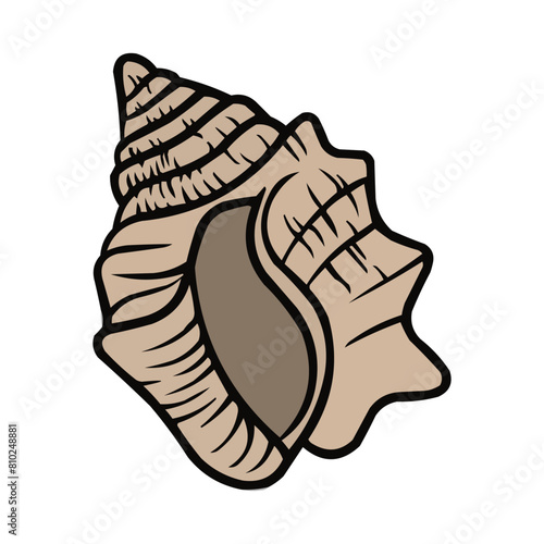 Clamshell Vector, Clamshell Summer Decoration, Seashell Summer Beach Vector Design