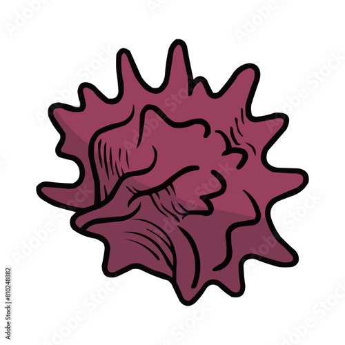 Clamshell Vector, Clamshell Summer Decoration, Seashell Summer Beach Vector Design