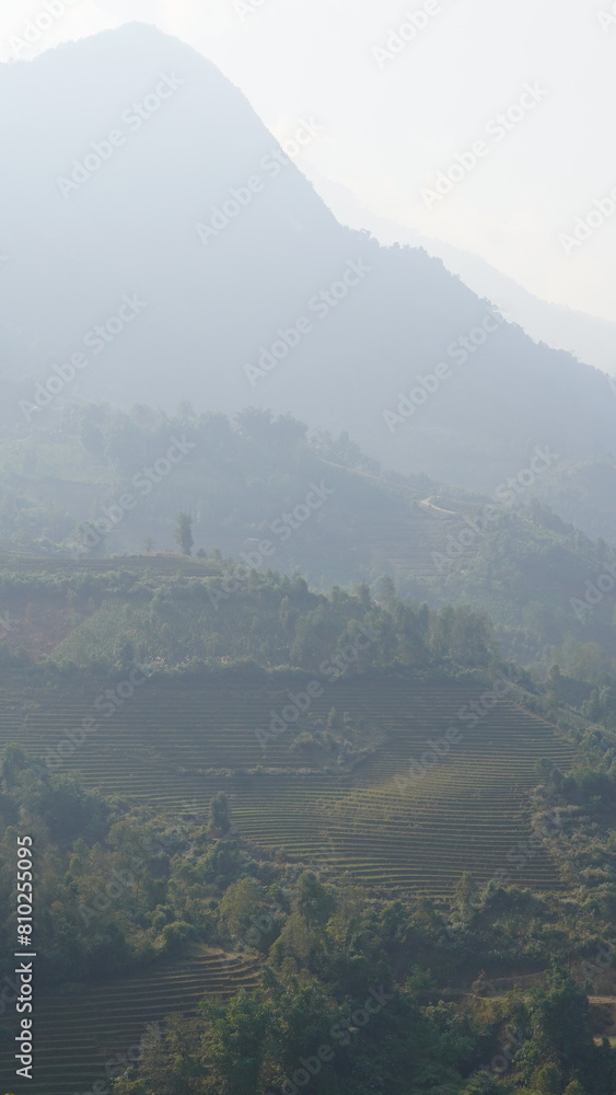 Sa Pa mountains Vietnam, rice lanscape valley