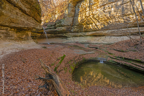 Mottled Morning Light in a Hidden Canyon