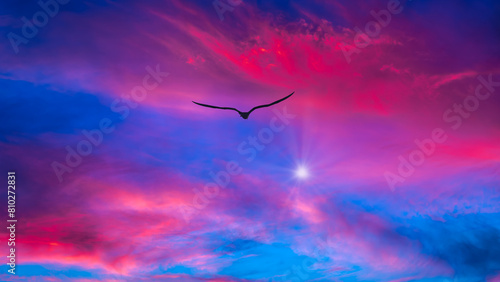 Bird Flying Spiritual Divine Inspiration Ethereal Faith Hope Soaring Uplifting Heaven Flight