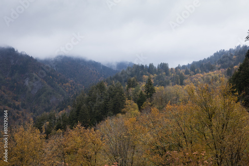 Fototapeta Naklejka Na Ścianę i Meble -  Smoky Mountains with low clouds