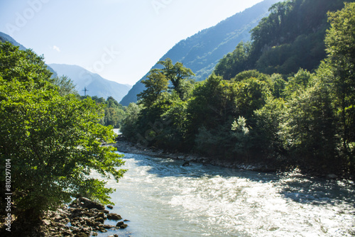 a mountain river among green trees in Abkhazia