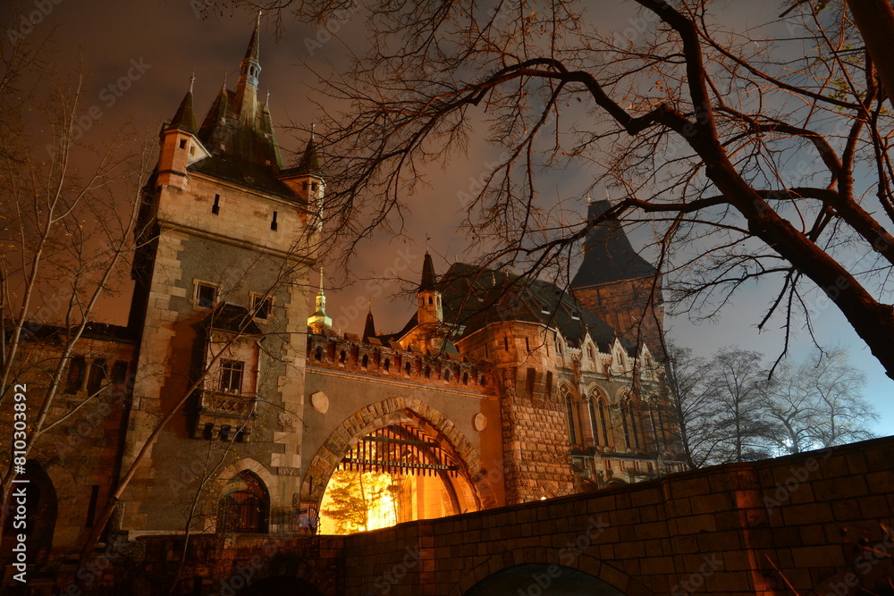 Gothic castle at night illuminated by warm lights