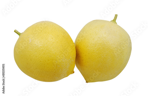 A Pair of Ripe Lemons on white background.
