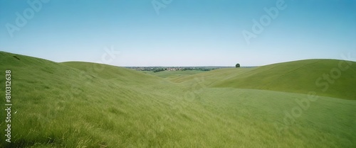 grass and blue sky create with ai