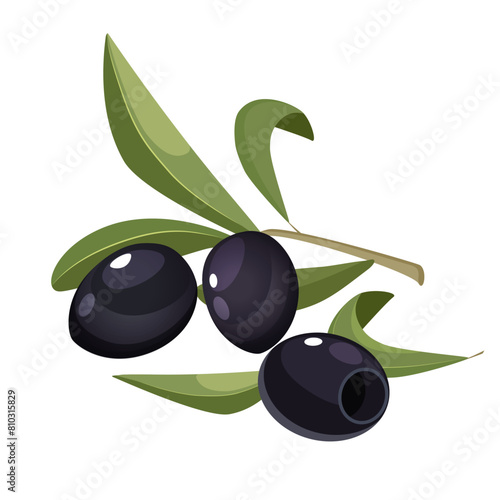 Black whole olives with leaves isolated on white background
