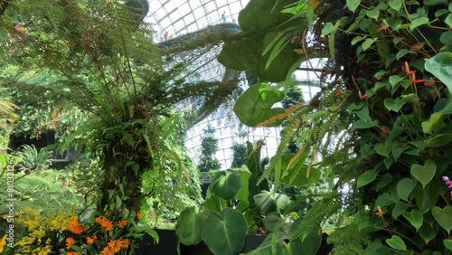 Cloud Forest, Flower Dome, Gardens By The Bay, Singapore, Asia