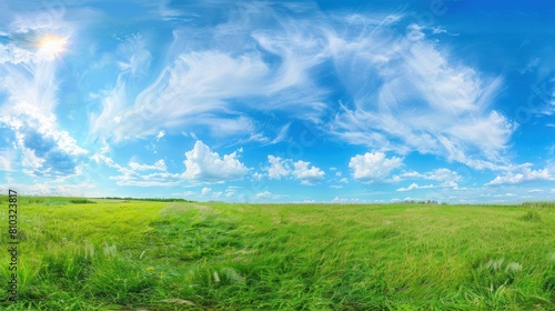 Lush green meadow background  sunny weather