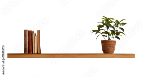 Wooden shelf on white wall with plants and books. Transparent background