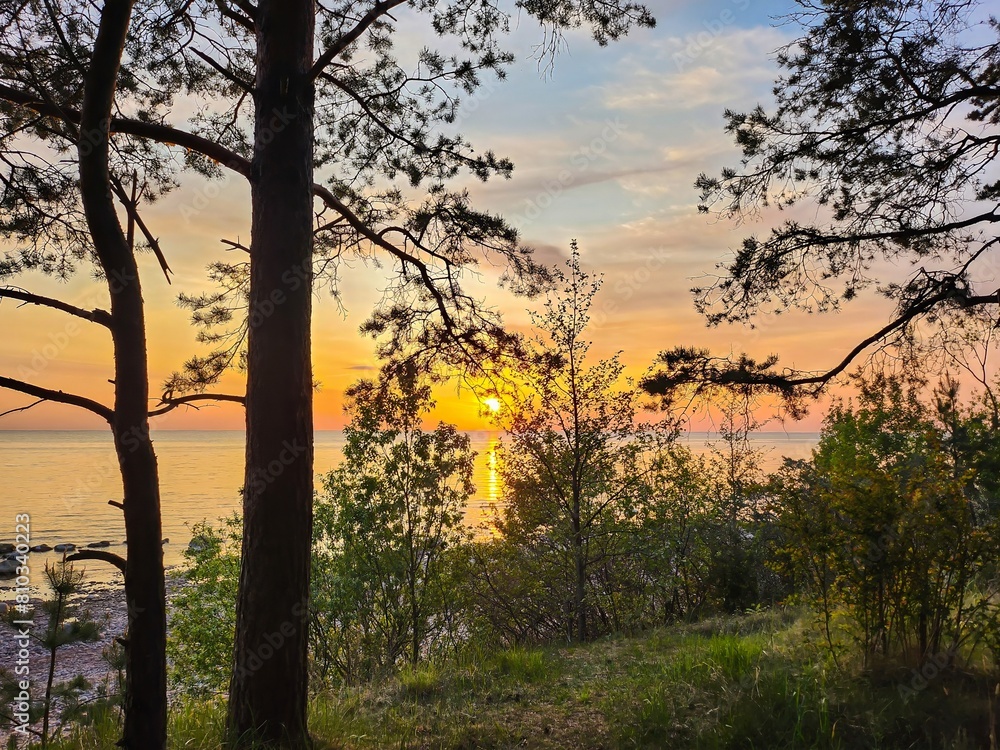 Captivating view of a picturesque sunset over the calm sea, framed by the lush pine trees on the tranquil shore, creating a serene and idyllic scene for nature lovers and travel enthusiasts.