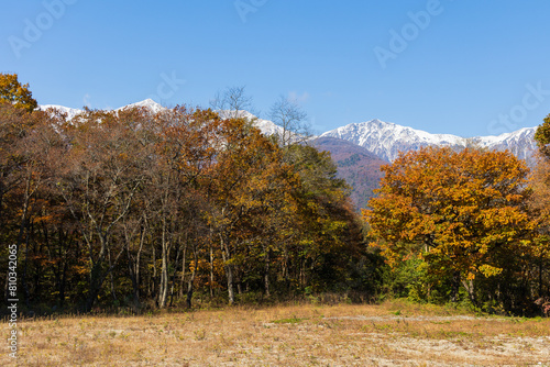 日本の風景・秋　紅葉の長野県白馬村