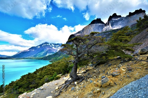 View of Cuernos del Paine taken from the hiking trail in Torres del Paine National Park (Patagonia, southern Chile) photo
